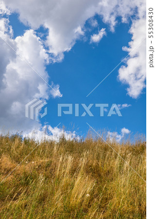 Meadow Grass And Sky With Clouds Background Meadow Grass And Sky With Clouds Background 55308430
