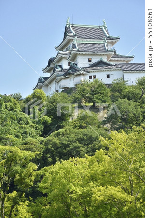 初夏の和歌山城 55308661