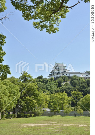 初夏の和歌山城 55308665