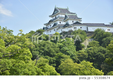 初夏の和歌山城 55308674