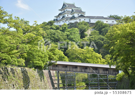 初夏の和歌山城 初夏の和歌山城 55308675