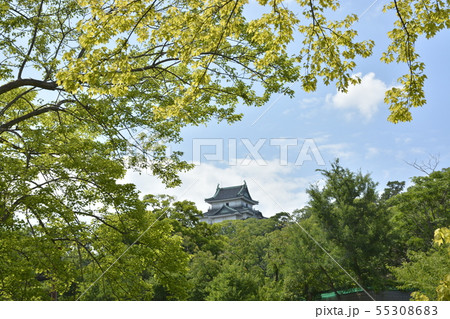 初夏の和歌山城 55308683
