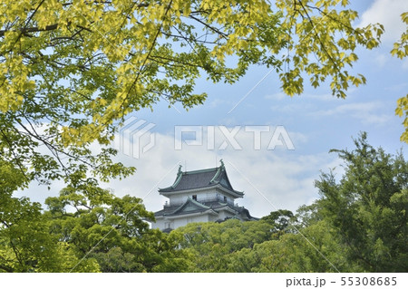 初夏の和歌山城 55308685