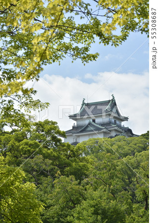 初夏の和歌山城 55308687
