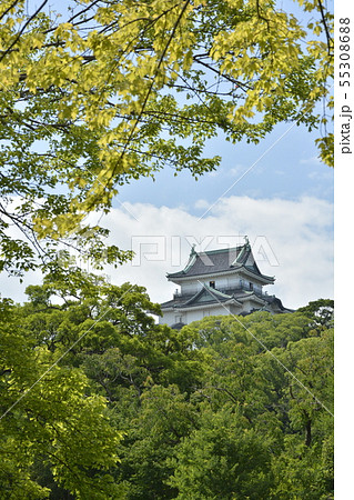 初夏の和歌山城 55308688