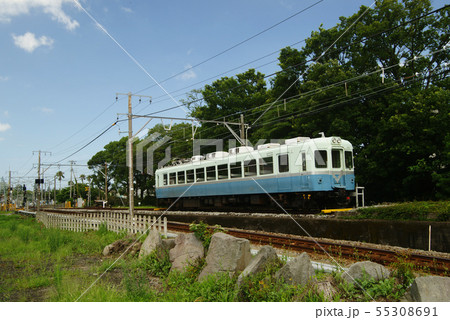 伊豆急行(100系)電車 伊豆急行(100系)電車 55308691