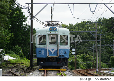 伊豆急行(100系)電車 55308692