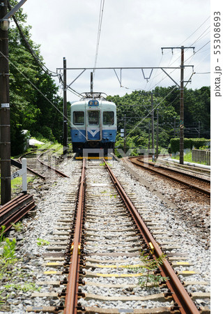 伊豆急行(100系)電車 55308693