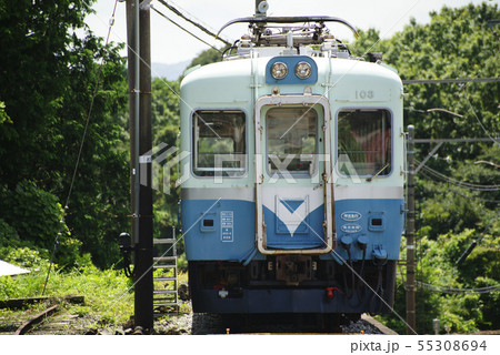 伊豆急行(100系)電車 55308694