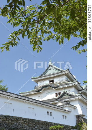 初夏の和歌山城 55308734