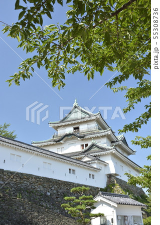 初夏の和歌山城 初夏の和歌山城 55308736