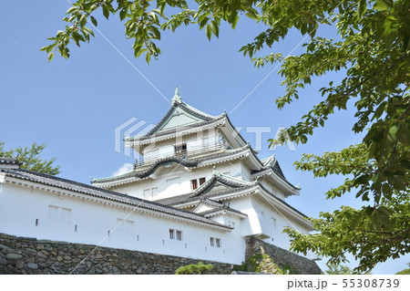 初夏の和歌山城 55308739