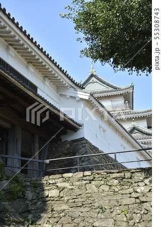 初夏の和歌山城 55308743