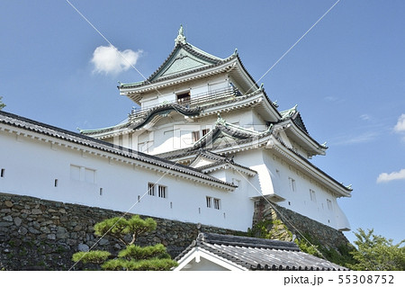 初夏の和歌山城 55308752