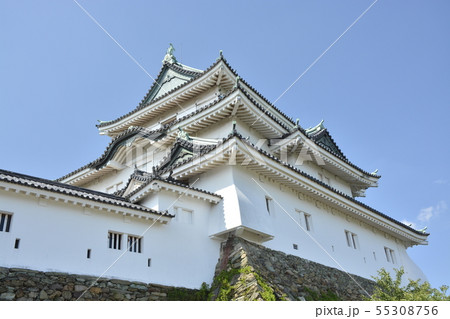 初夏の和歌山城 初夏の和歌山城 55308756