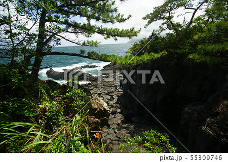 城ヶ崎海岸 大淀・小淀 55309746