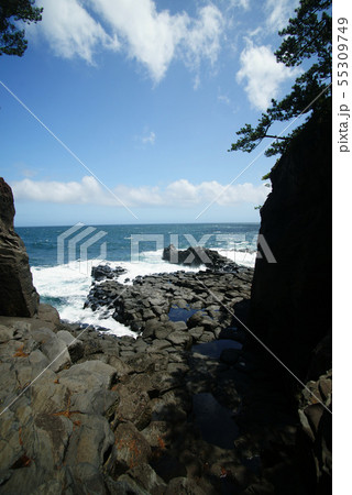 城ヶ崎海岸 大淀・小淀 55309749