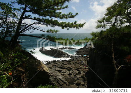 城ヶ崎海岸 大淀・小淀 城ヶ崎海岸 大淀・小淀 55309751