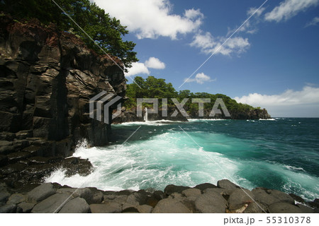 城ヶ崎海岸 城ヶ崎海岸 55310378