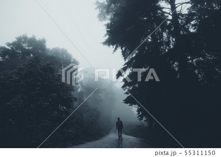 In the mist and rain forest, darkness In the mist and rain forest, darkness 55311150