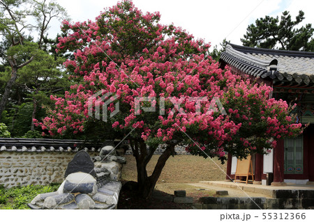 韓国の風景 モノラル 文化財 55312366