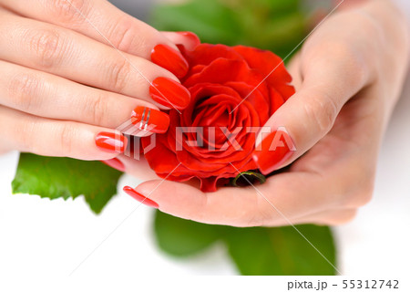 Hands of a woman with red manicure Hands of a woman with red manicure 55312742
