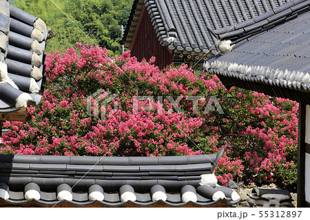 韓国の風景 モノラル 文化財 55312897
