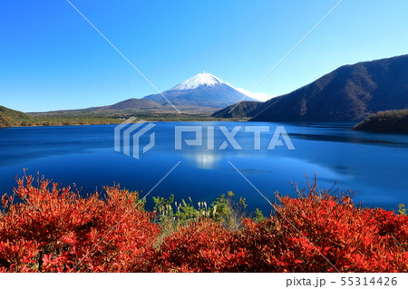 世界遺産　富士山　山梨　本栖湖　紅葉 55314426