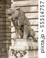 Lions of Budapest. Travel to Hungary. 55314757
