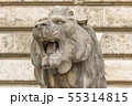 European monuments to animals. Muzzle stone lion. 55314815
