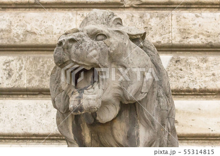 European monuments to animals. Muzzle stone lion. 55314815