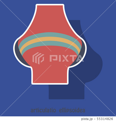 Knee joint health care icon sticker 55314826