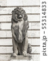 Lion statue in Budapest 55314833