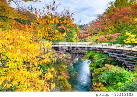 Otsuki, Japan at Saruhashi Monkey Bridge Otsuki, Japan at Saruhashi Monkey Bridge 55315102