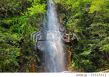 岩屋堂　観光 55315313