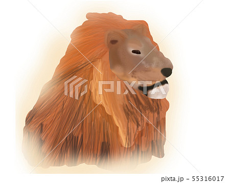 ライオン オス の横顔のイラスト素材