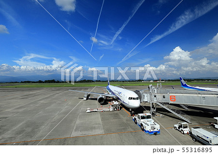 旅客機 55316895