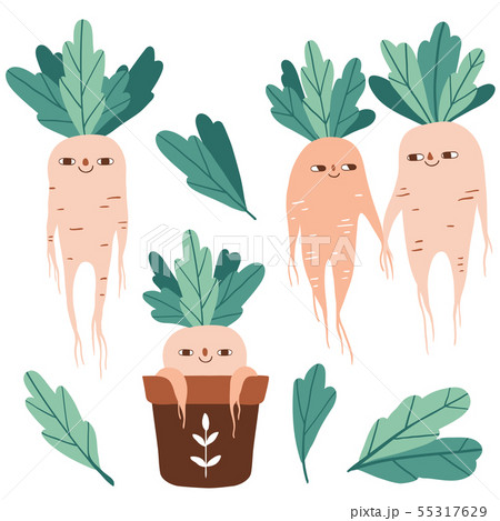 Cute mandrake roots 55317629