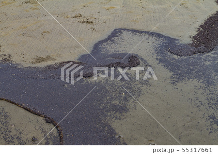 Petroleum products polluted ocean shore 55317661