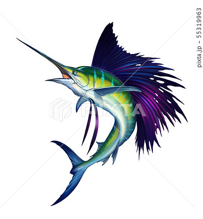 Sailfish Fish On White Realistic Isolated のイラスト素材