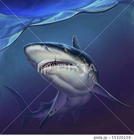 Reef Shark On Depth Realistic Illustration のイラスト素材