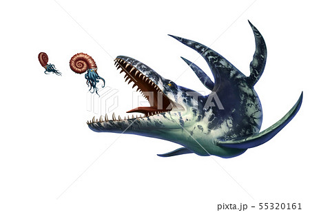 Kronosaurus was a marine reptile hunts ammonite. Kronosaurus was a marine reptile hunts ammonite. 55320161