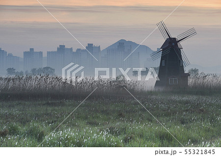 風景 牛という潟 公園 55321845