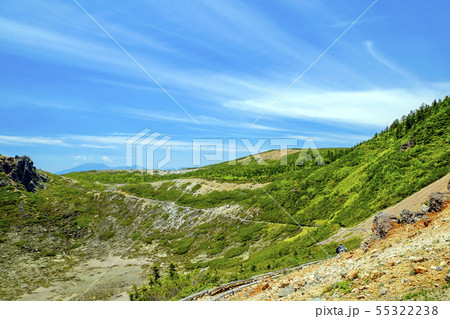 初夏の本白根山登山道 55322238