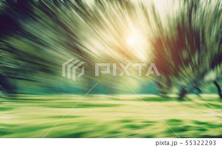 Summer park long exposure motion blur Summer park long exposure motion blur 55322293