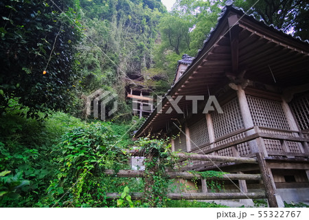 宇佐市　鷹栖つり橋公園 55322767