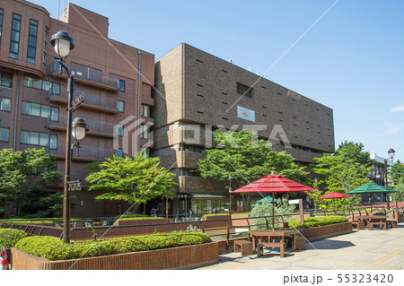 東北福祉大学　仙台市 55323420