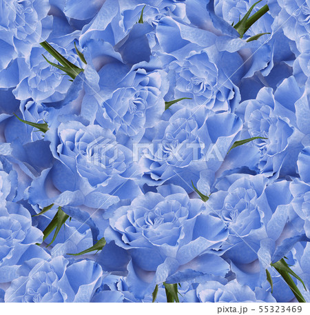 Floral blue-white beautiful background. Flower Floral blue-white beautiful background. Flower 55323469