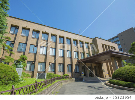 東北大学 国立大学 東北大学 国立大学 55323954