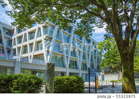 東北大学　国立大学 55323975